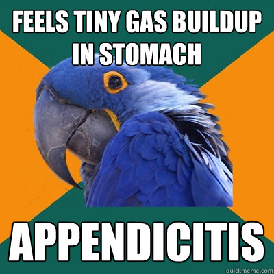 Feels tiny gas buildup in stomach Appendicitis  Paranoid Parrot