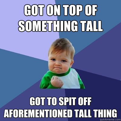 got on top of something tall got to spit off aforementioned tall thing  Success Kid