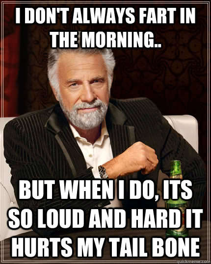 I don't always fart in the morning.. but when I do, its so loud and hard it hurts my tail bone - I don't always fart in the morning.. but when I do, its so loud and hard it hurts my tail bone  The Most Interesting Man In The World