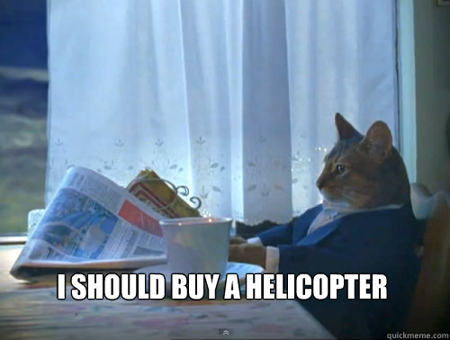  I should buy a Helicopter    The One Percent Cat
