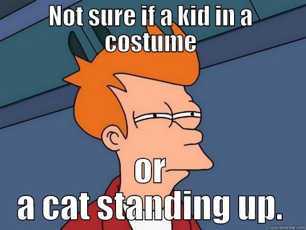 NOT SURE IF A KID IN A COSTUME OR A CAT STANDING UP. Futurama Fry