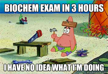 Biochem exam in 3 hours I have no idea what i'm doing - Biochem exam in 3 hours I have no idea what i'm doing  I have no idea what Im doing - Patrick Star