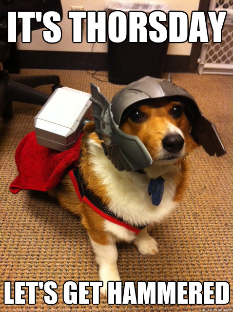 It's thorsday let's get hammered  Thorgi Dog of Thunder