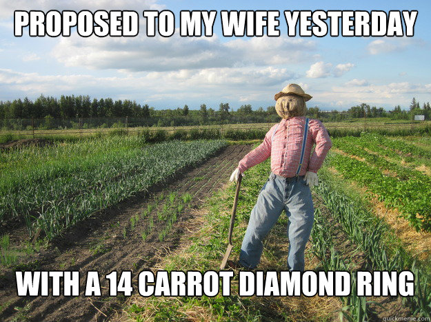 Proposed to my wife yesterday with a 14 carrot diamond ring  Scarecrow
