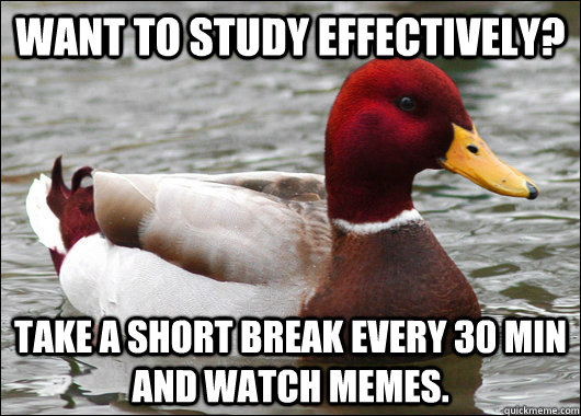 Want to study effectively? Take a short break every 30 min and watch memes.  Malicious Advice Mallard