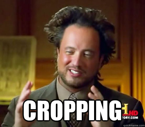  Cropping  Aliens Dude