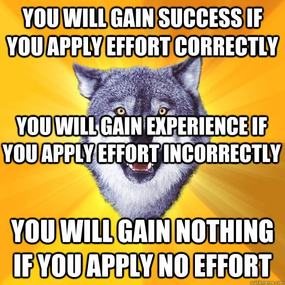 You will gain success if you apply effort correctly You will gain nothing if you apply no effort You will gain experience if you apply effort incorrectly  Courage Wolf