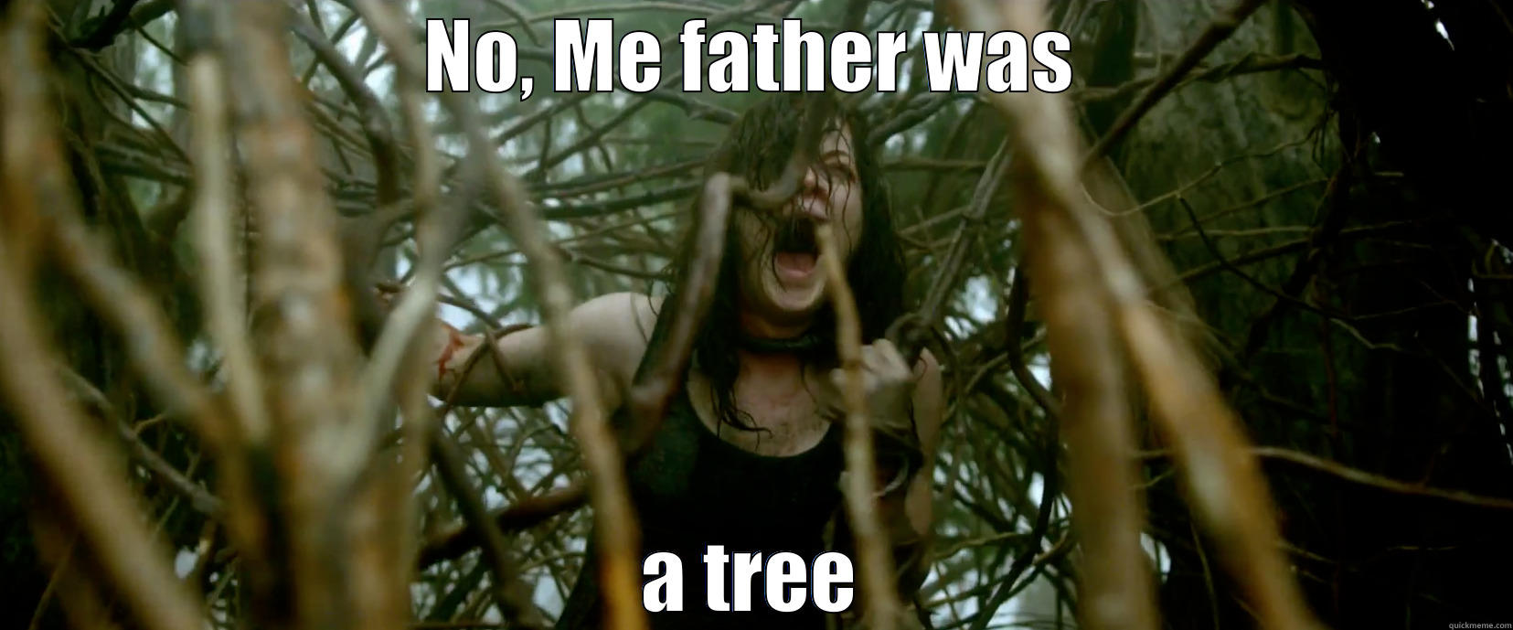 NO, ME FATHER WAS A TREE Misc
