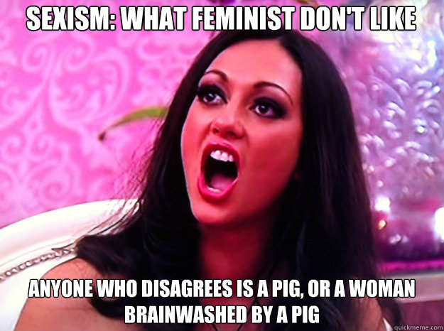 Sexism: What feminist don't like Anyone who disagrees is a pig, or a woman brainwashed by a pig   Feminist Nazi