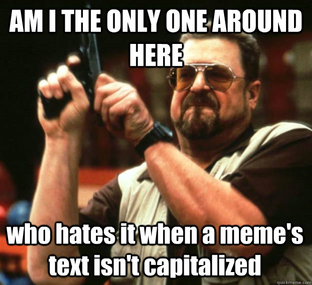 AM I THE ONLY ONE AROUND HERE who hates it when a meme's text isn't capitalized - AM I THE ONLY ONE AROUND HERE who hates it when a meme's text isn't capitalized  Am I the only one around here1