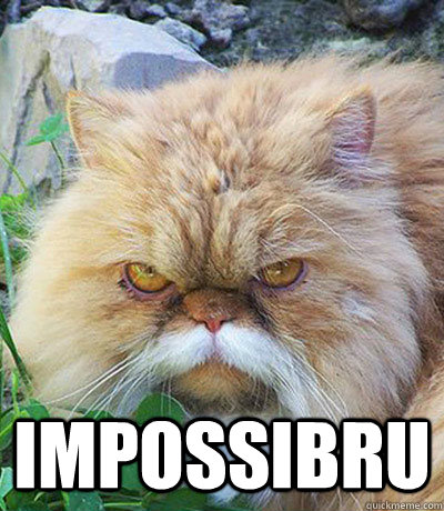  IMPOSSIBRU   Diabeetus Cat