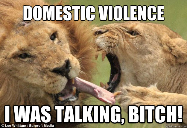 Domestic Violence I was talking, bitch!  Aggressive Females