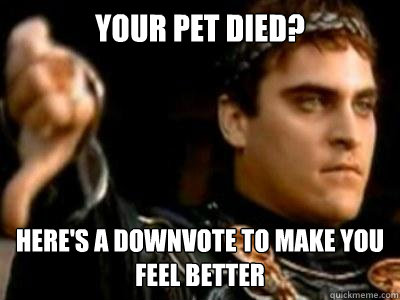 YOUR PET DIED? HERE'S A DOWNVOTE TO MAKE YOU FEEL BETTER  Downvoting Roman