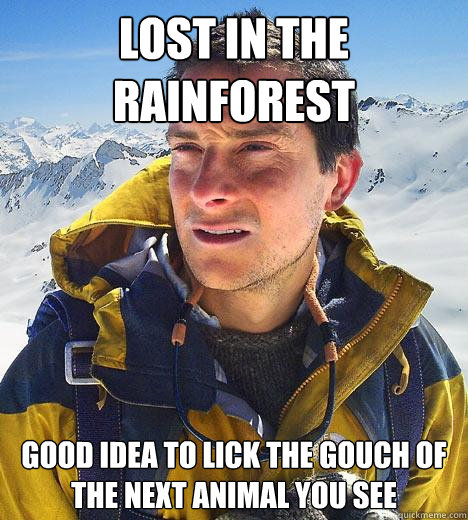 lost in the rainforest good idea to lick the gouch of the next animal you see   Bear Grylls