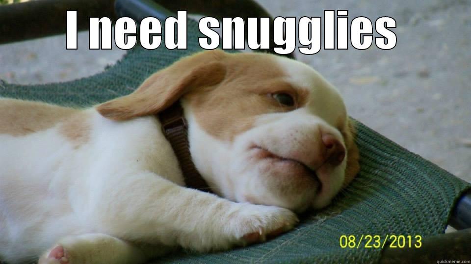 I NEED SNUGGLIES  Misc