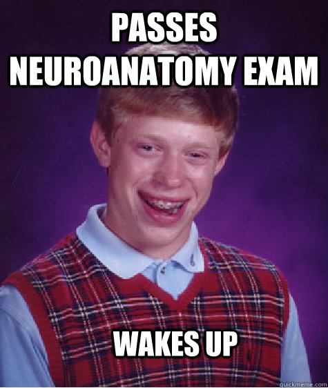 Passes neuroanatomy exam wakes up  Bad Luck Brian