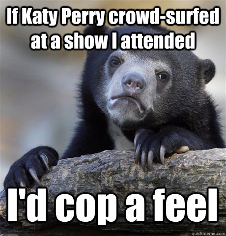 If Katy Perry crowd-surfed at a show I attended I'd cop a feel  Confession Bear