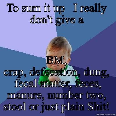 TO SUM IT UP   I REALLY DON'T GIVE A BM, CRAP, DEFECATION, DUNG,  FECAL MATTER, FECES, MANURE, NUMBER TWO, STOOL OR JUST PLAIN SHIT! Success Kid