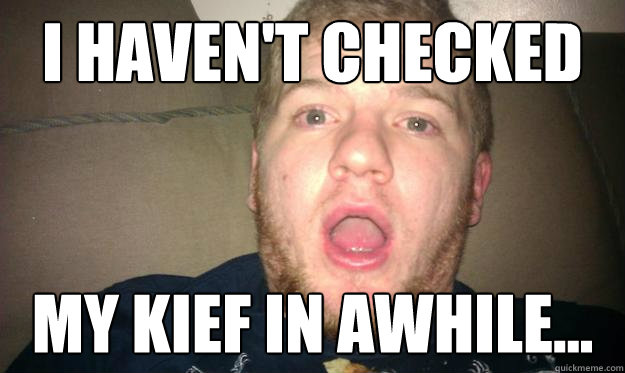 I haven't checked  my kief in awhile...  