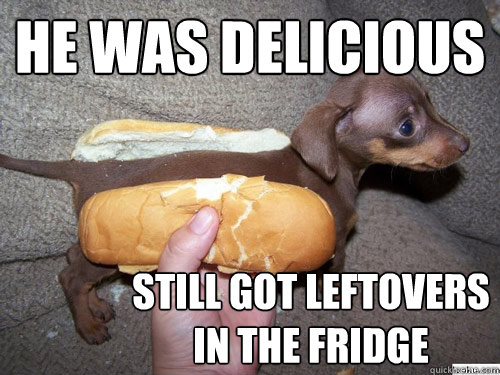 He was delicious still got leftovers in the fridge - He was delicious still got leftovers in the fridge  Literal Weiner Dog