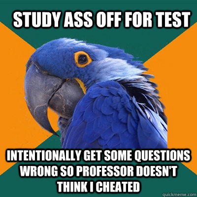 study ass off for test intentionally get some questions wrong so professor doesn't think i cheated  Paranoid Parrot