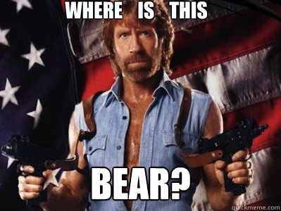 Where    is    this BEAR? - Where    is    this BEAR?  Chuck Norris Needs a Nightlight
