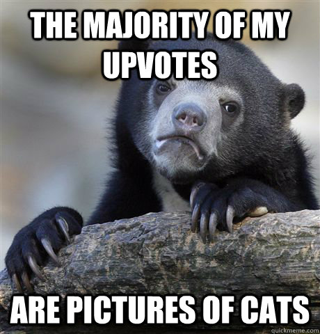 The majority of my upvotes are pictures of cats  Confession Bear