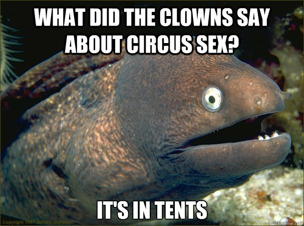 What did the clowns say about circus sex? It's in tents  Bad Joke Eel