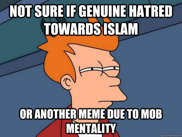 Not sure if genuine hatred towards islam or another meme due to mob mentality  Futurama Fry