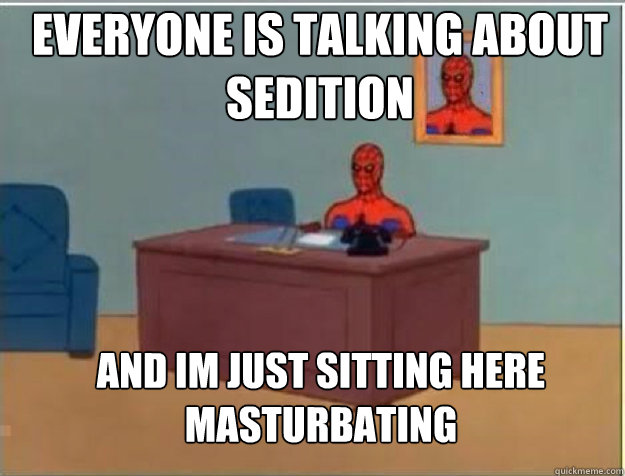Everyone is talking about sedition and im just sitting here masturbating   