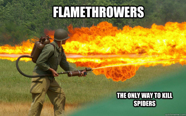 Flamethrowers The only way to kill spiders  