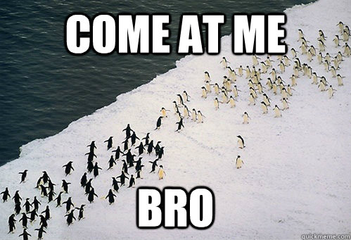 COME AT ME BRO  Penguin Fight