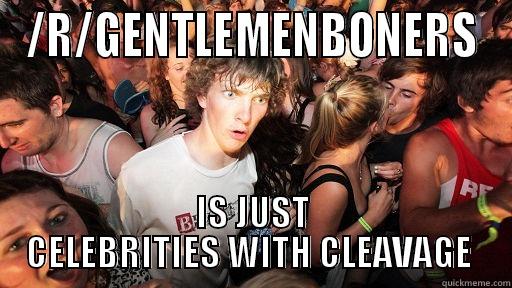 /R/GENTLEMENBONERS IS JUST CELEBRITIES WITH CLEAVAGE  Sudden Clarity Clarence