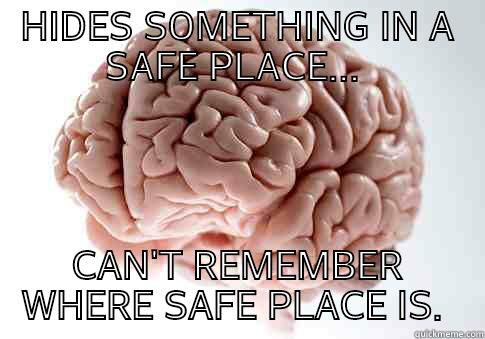 HIDES SOMETHING IN A SAFE PLACE...  CAN'T REMEMBER WHERE SAFE PLACE IS.  Scumbag Brain