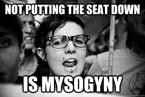 Not putting the seat down Is Mysogyny  Hypocrite Feminist