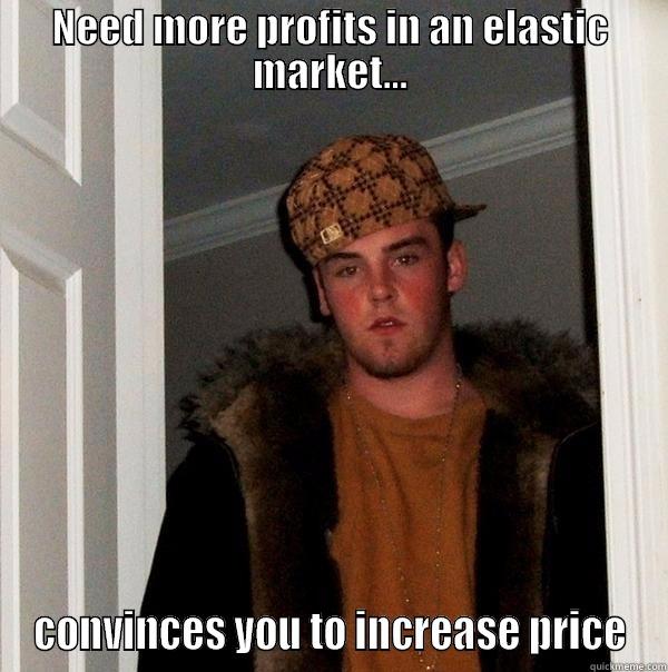 NEED MORE PROFITS IN AN ELASTIC MARKET... CONVINCES YOU TO INCREASE PRICE Scumbag Steve