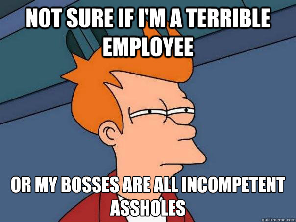 not sure if i'm a terrible employee or my bosses are all incompetent assholes - not sure if i'm a terrible employee or my bosses are all incompetent assholes  Futurama Fry