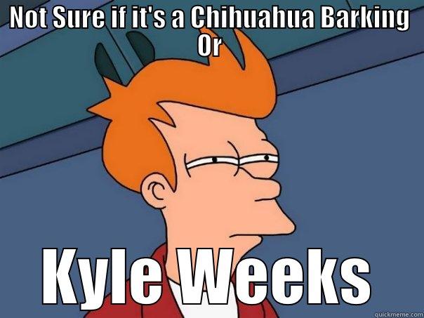 NOT SURE IF IT'S A CHIHUAHUA BARKING OR  KYLE WEEKS  Futurama Fry