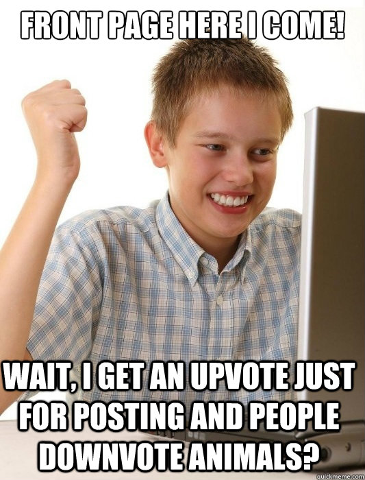 Front Page Here I come! Wait, I get an upvote just for posting and people downvote animals?  First Day on the Internet Kid