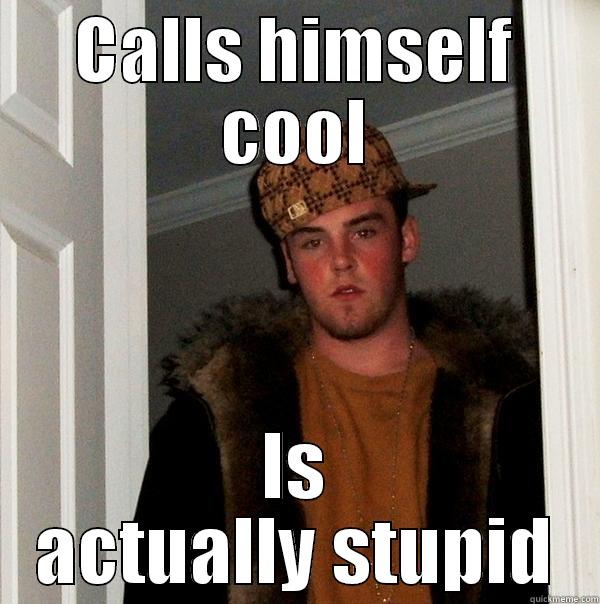 CALLS HIMSELF COOL IS ACTUALLY STUPID Scumbag Steve