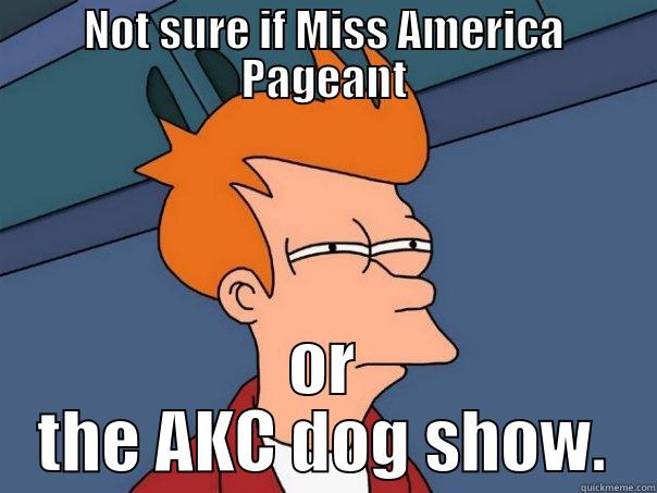 NOT SURE IF MISS AMERICA PAGEANT OR THE AKC DOG SHOW. Futurama Fry