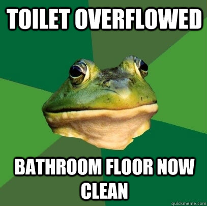 Toilet overflowed Bathroom floor now clean  Foul Bachelor Frog