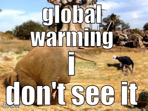 GLOBAL WARMING I DON'T SEE IT Misc