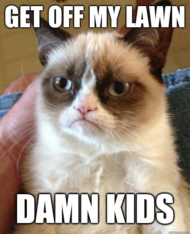 GET OFF MY LAWN DAMN KIDS  Grumpy Cat