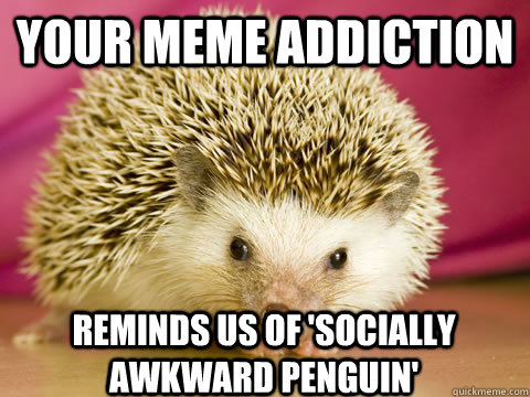 Your meme addiction reminds us of 'Socially Awkward Penguin'  Intervention Porcupine