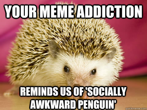 Your meme addiction reminds us of 'Socially Awkward Penguin' - Your meme addiction reminds us of 'Socially Awkward Penguin'  Intervention Porcupine