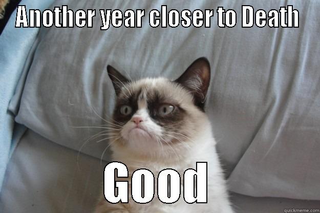 Birthday Card - ANOTHER YEAR CLOSER TO DEATH GOOD Grumpy Cat
