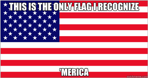 This is the only flag I recognize 'MERICA  American Flag