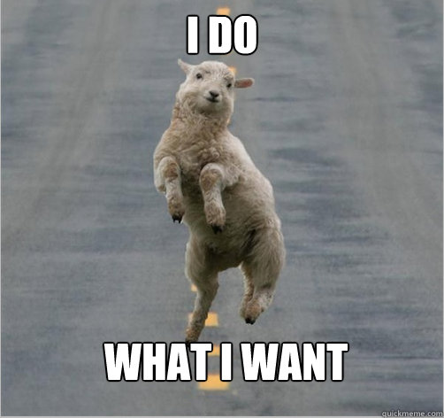 I do  What I Want - I do  What I Want  Dancing Sheep