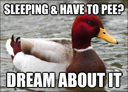 Sleeping & have to pee? Dream about it  Malicious Advice Mallard